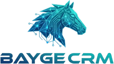 Bayge CRM