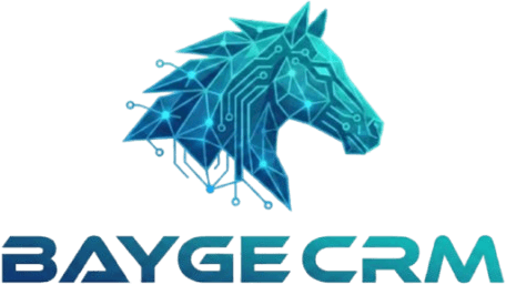 Bayge CRM